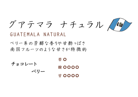オーガニック コーヒー | グアテマラ ナチュラル製法