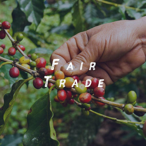 Live Organic: Fairtrade - オーガニックコーヒーの通販、サブスク - コーヒー豆の卸売り ｜ TOKYO COFFEE Organic Coffee