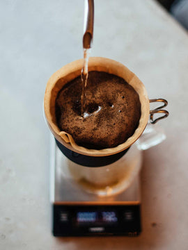 業務用 コーヒー豆 ｜ Organic Wholesale Coffee Beans