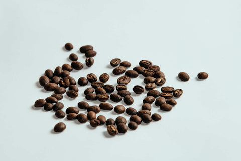 Organic, Single Origin, オーガニック, ストレート, フルシティロースト TOKYO COFFEE ｜ East Timor Organic Coffee オーガニック コーヒー豆 ブレンド 通販 サブスク 定期購入