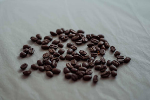 Organic Mexico - オーガニックコーヒーの通販、サブスク - コーヒー豆の卸売り ｜ TOKYO COFFEE Organic Coffee